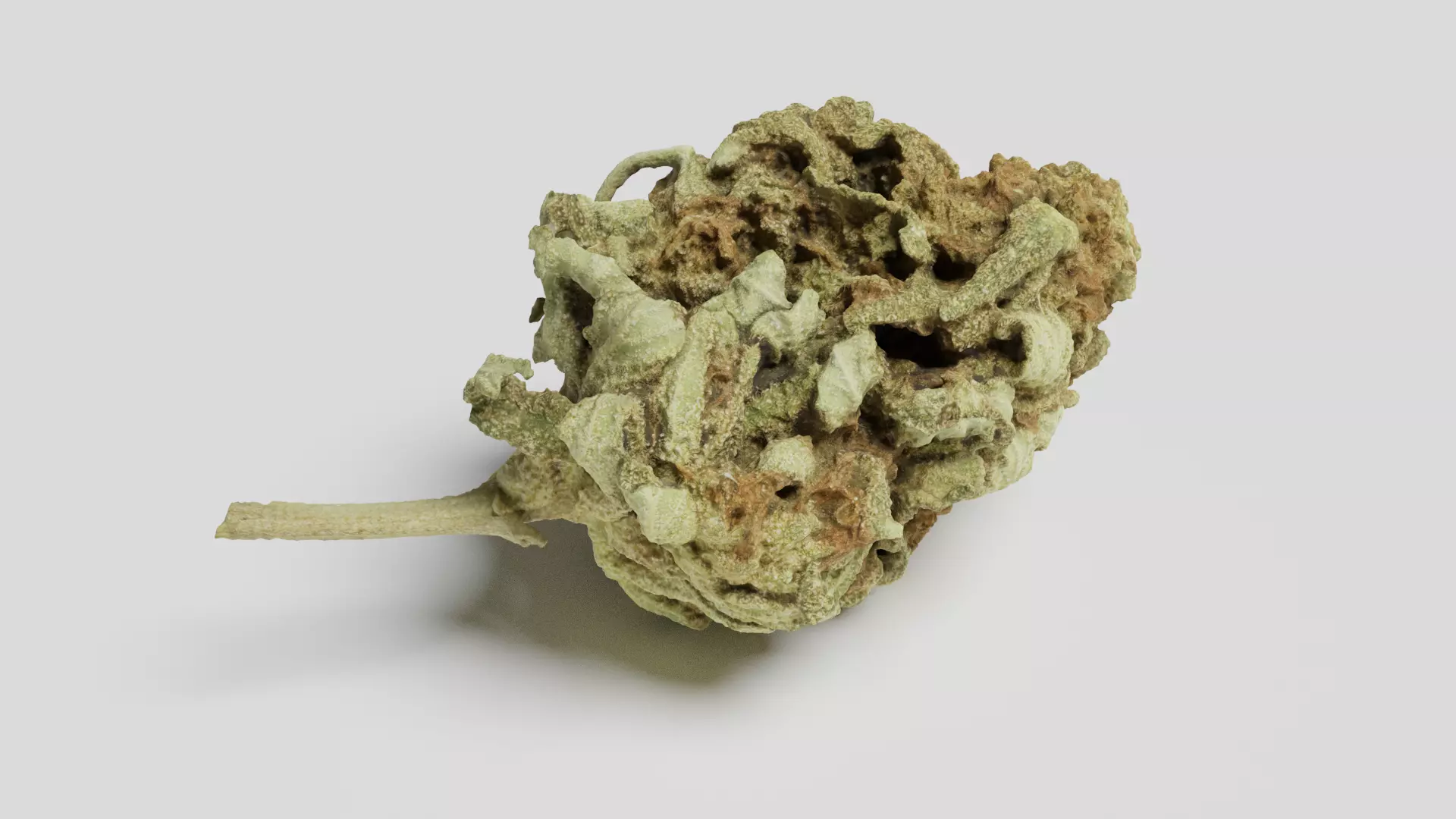 Cannabis Bud 06 3D model_0