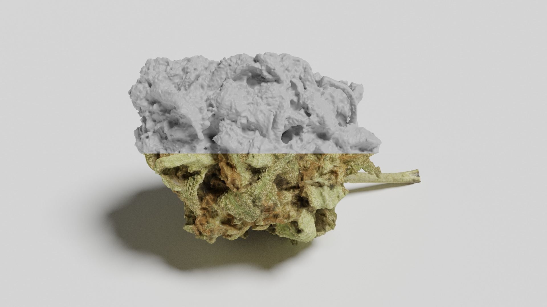 Cannabis Bud 06 3D model_6
