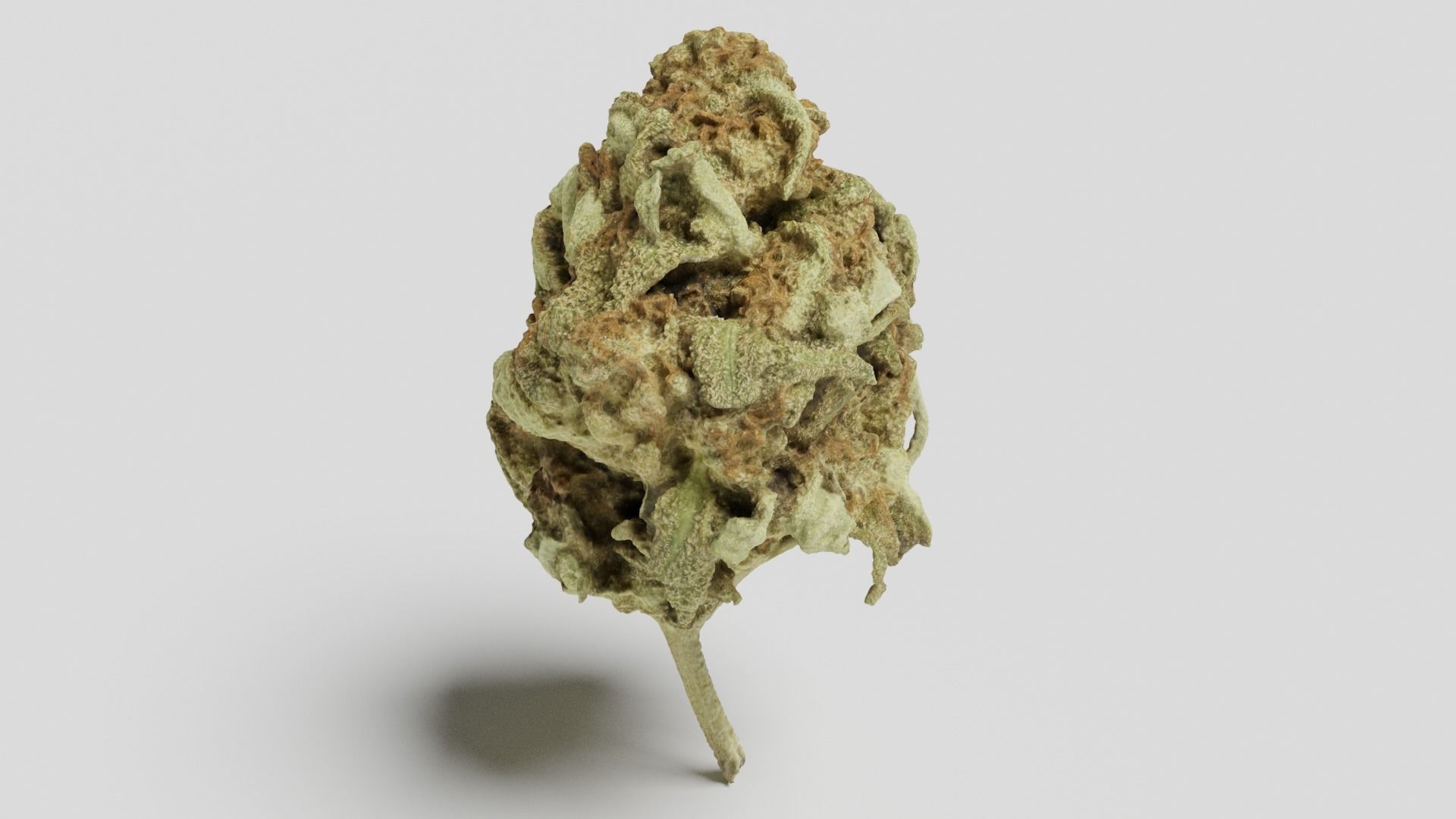 Cannabis Bud 06 3D model_3