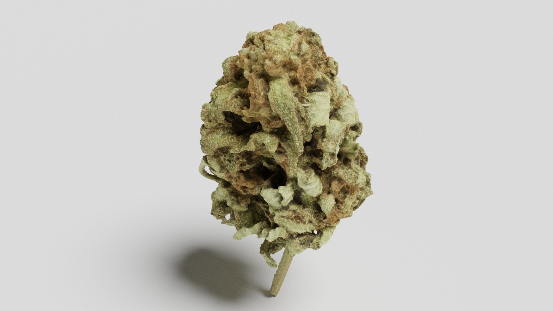 Cannabis Bud 06 3D model_5