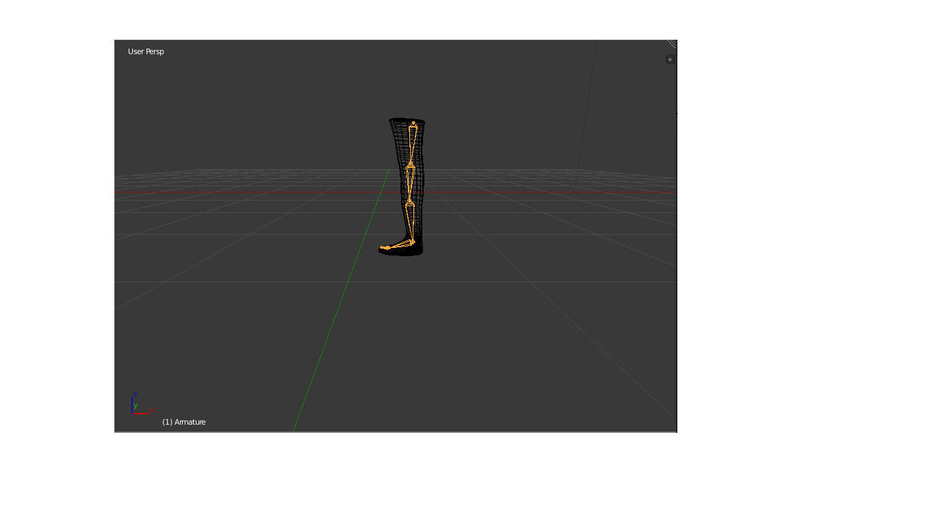 Rigging foot 3D model rigged | CGTrader
