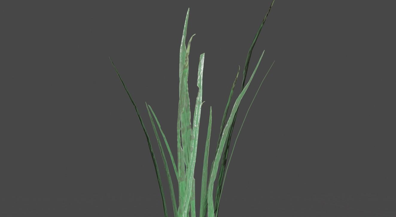 ULTRA REALISTIC GRASS FOLIAGE Free low-poly 3D model_2