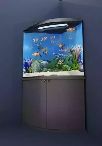 Corner aquarium 3D model
