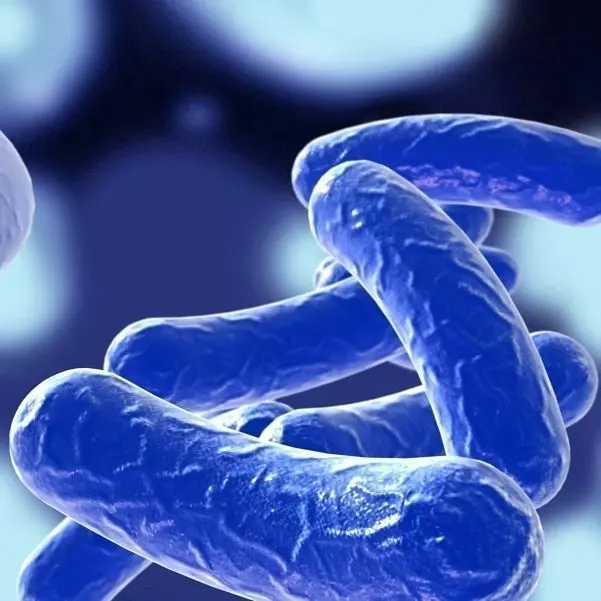 Bacillus 03 blue 3D model