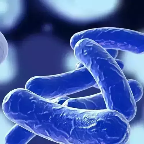 Bacillus 03 blue 3D model