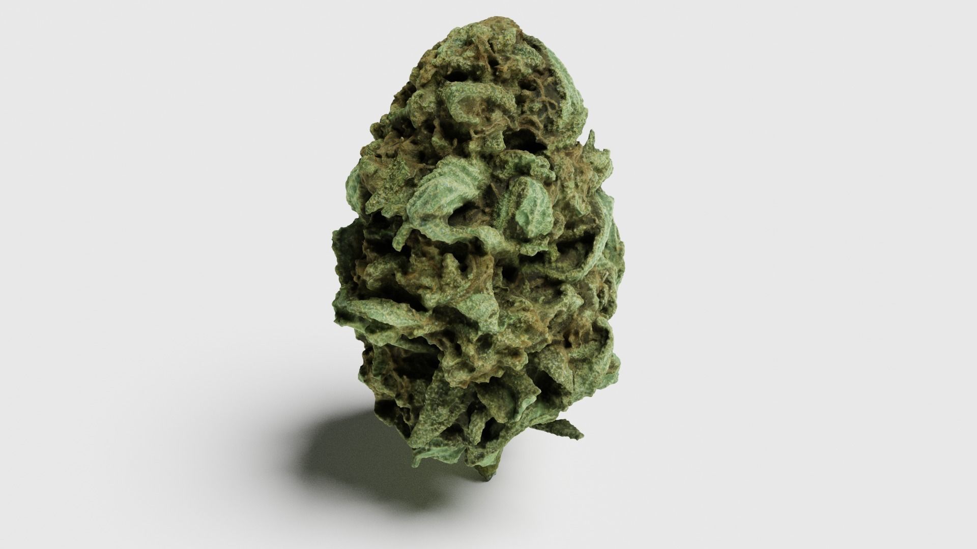 Cannabis Bud 07 3D model_5