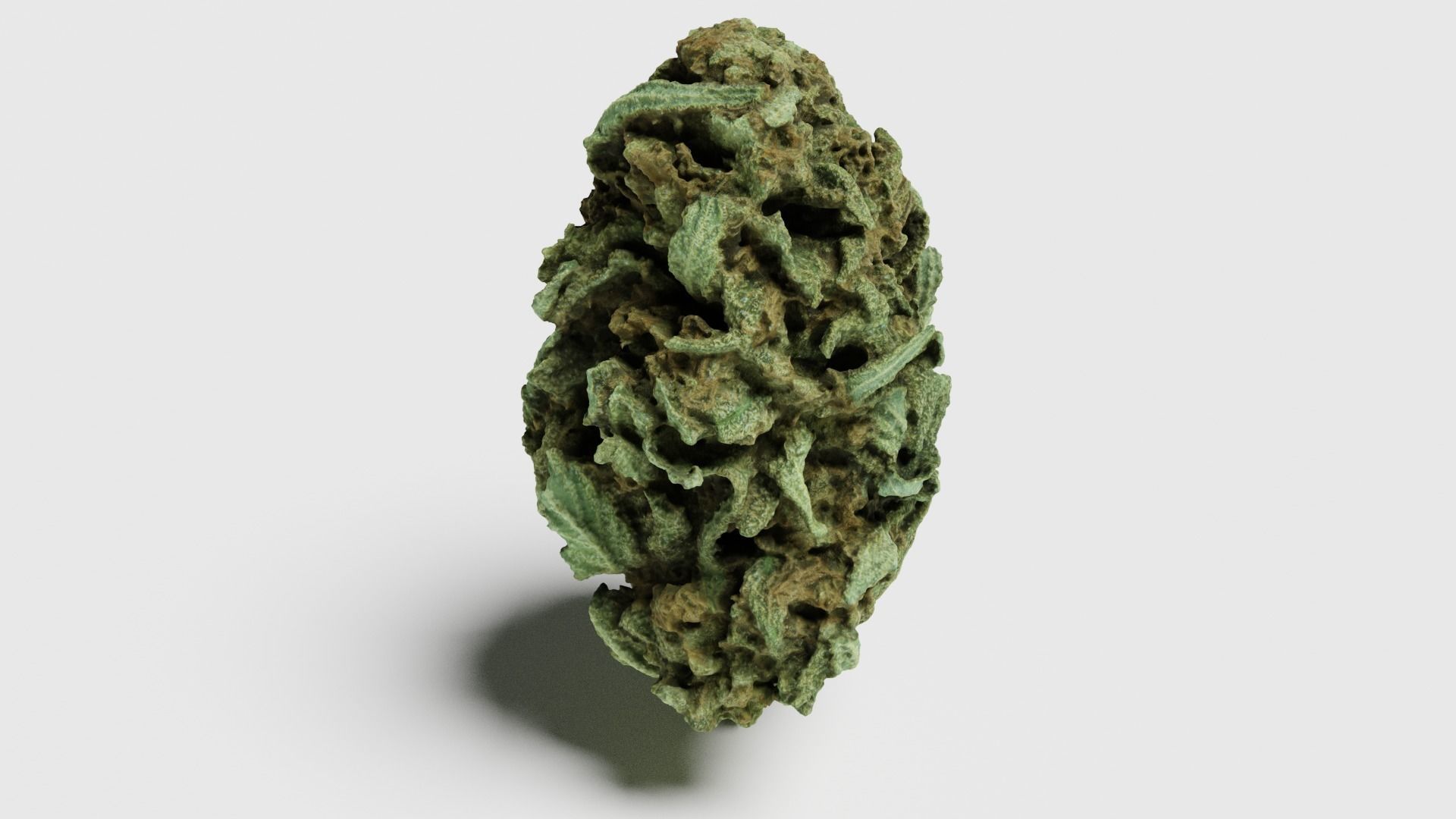 Cannabis Bud 07 3D model_3