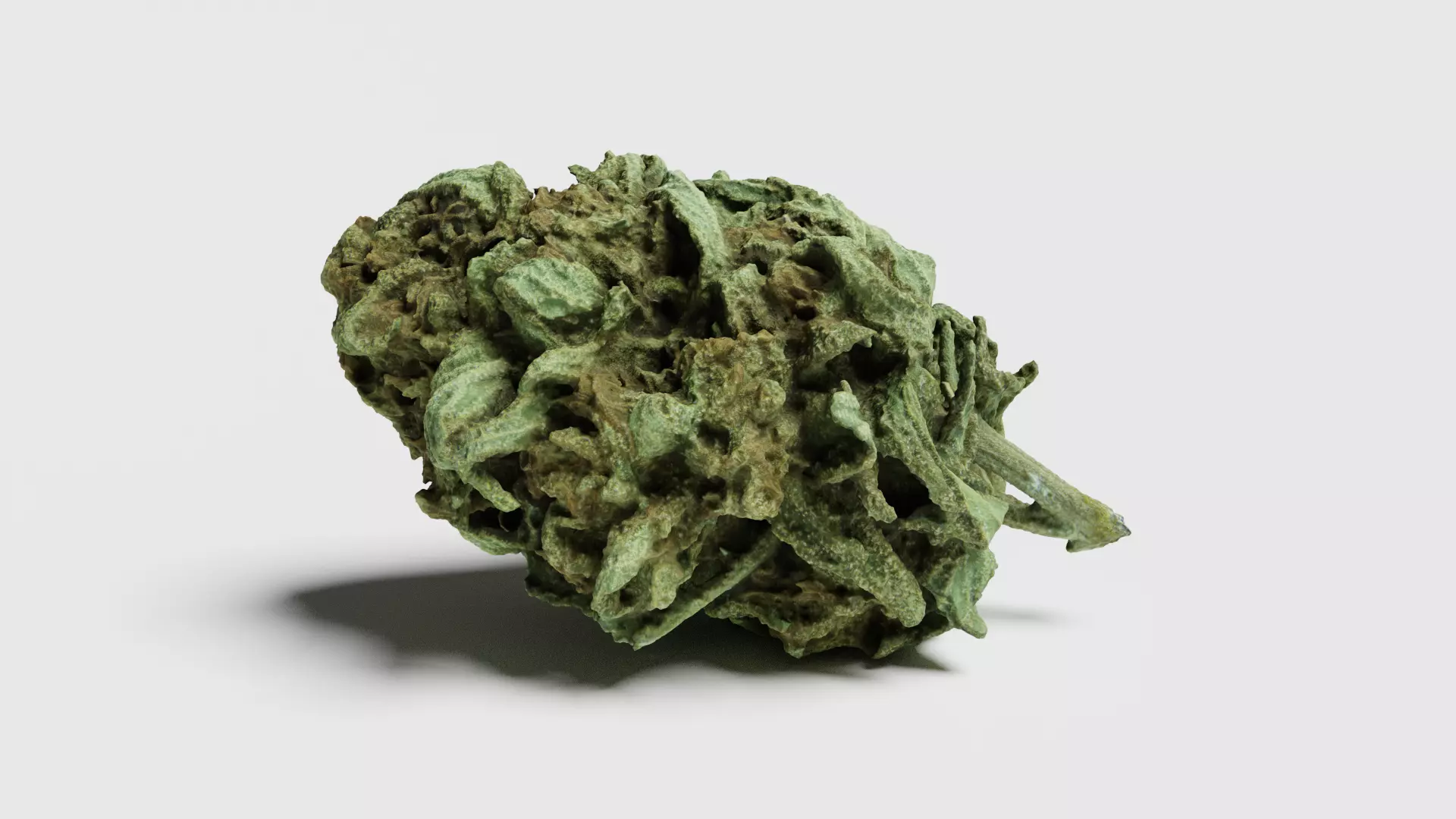 Cannabis Bud 07 3D model_0