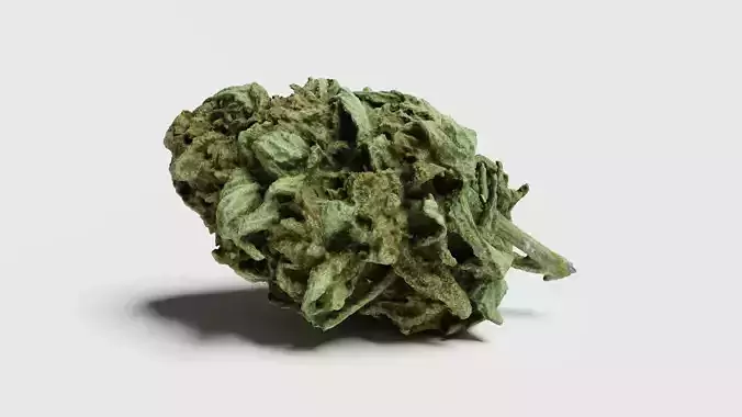 Cannabis Bud 07 3D model