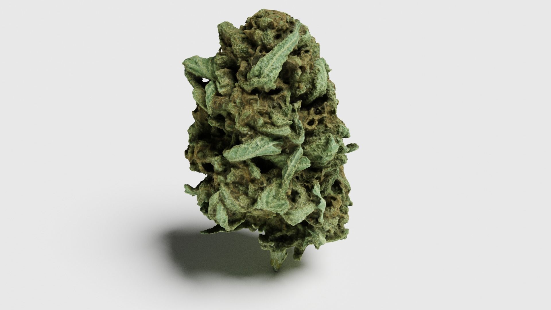Cannabis Bud 07 3D model_4