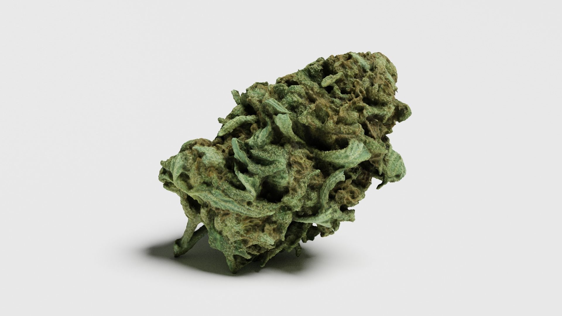 Cannabis Bud 07 3D model_1