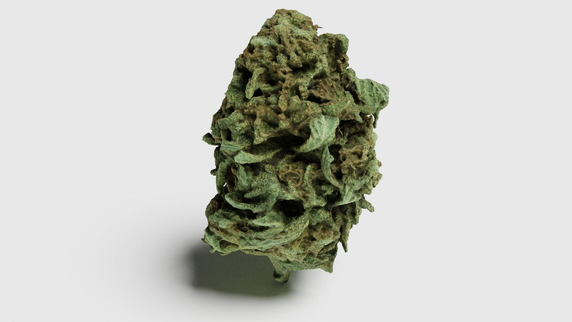 Cannabis Bud 07 3D model_2