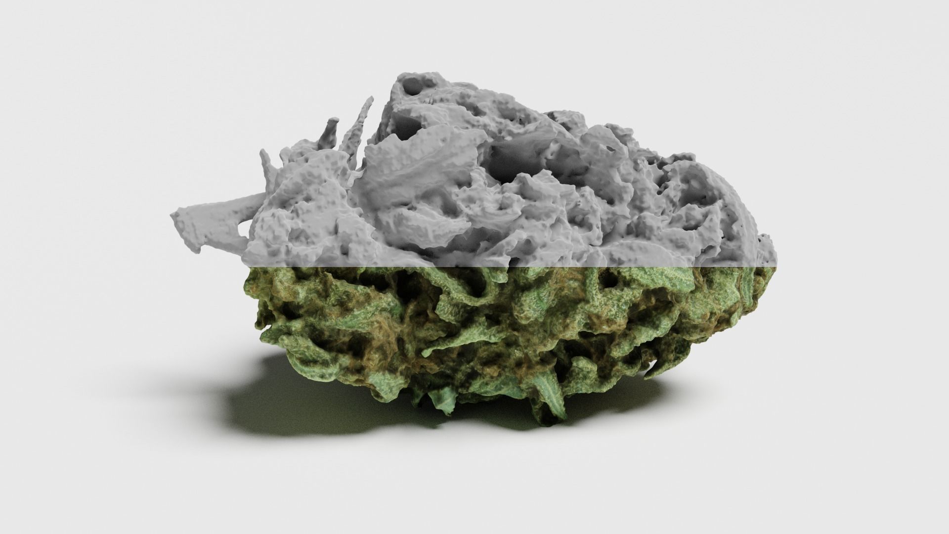 Cannabis Bud 07 3D model_6