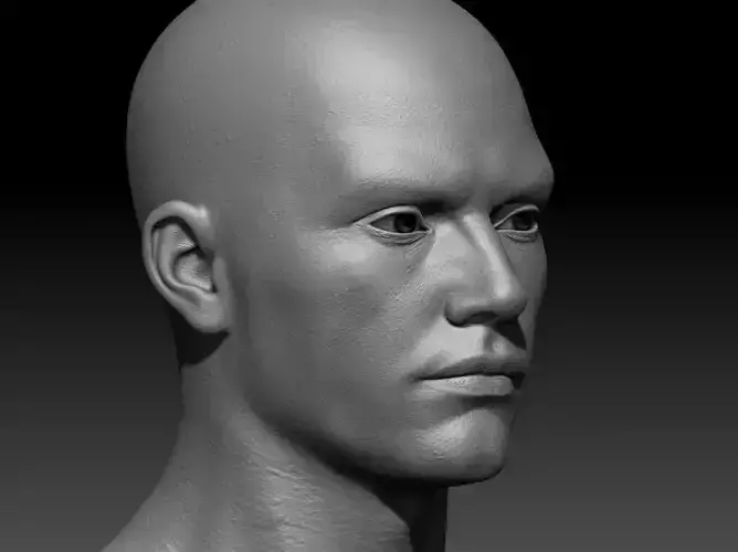 Major Files Free low-poly 3D model