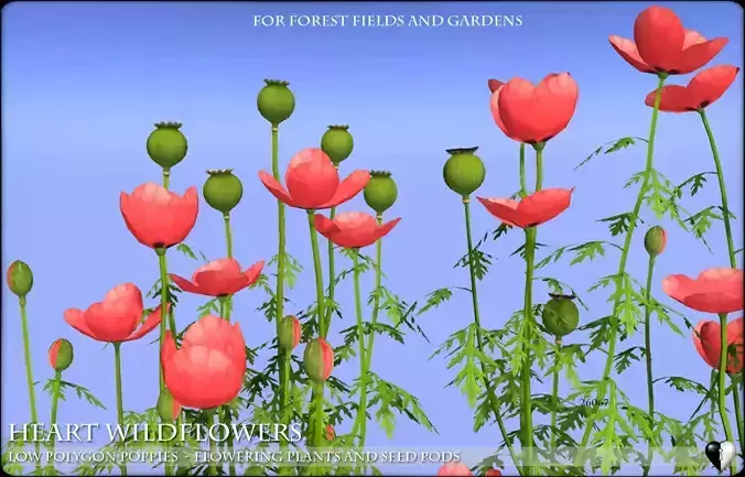 Low Polygon Poppies for Games and Architectural Visualisation Low-poly 3D model