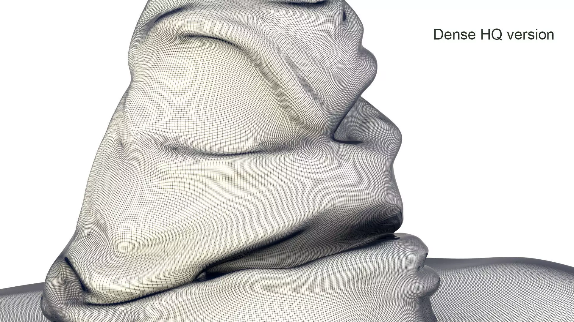 Harry potter - sorting hat - HQ and Low-poly 3D model_9
