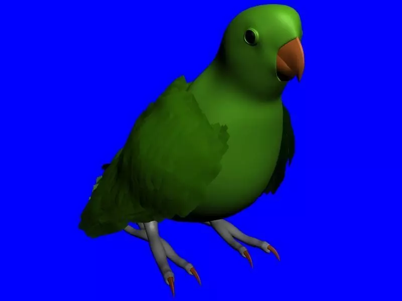 Parrot Low-poly 3D model_0