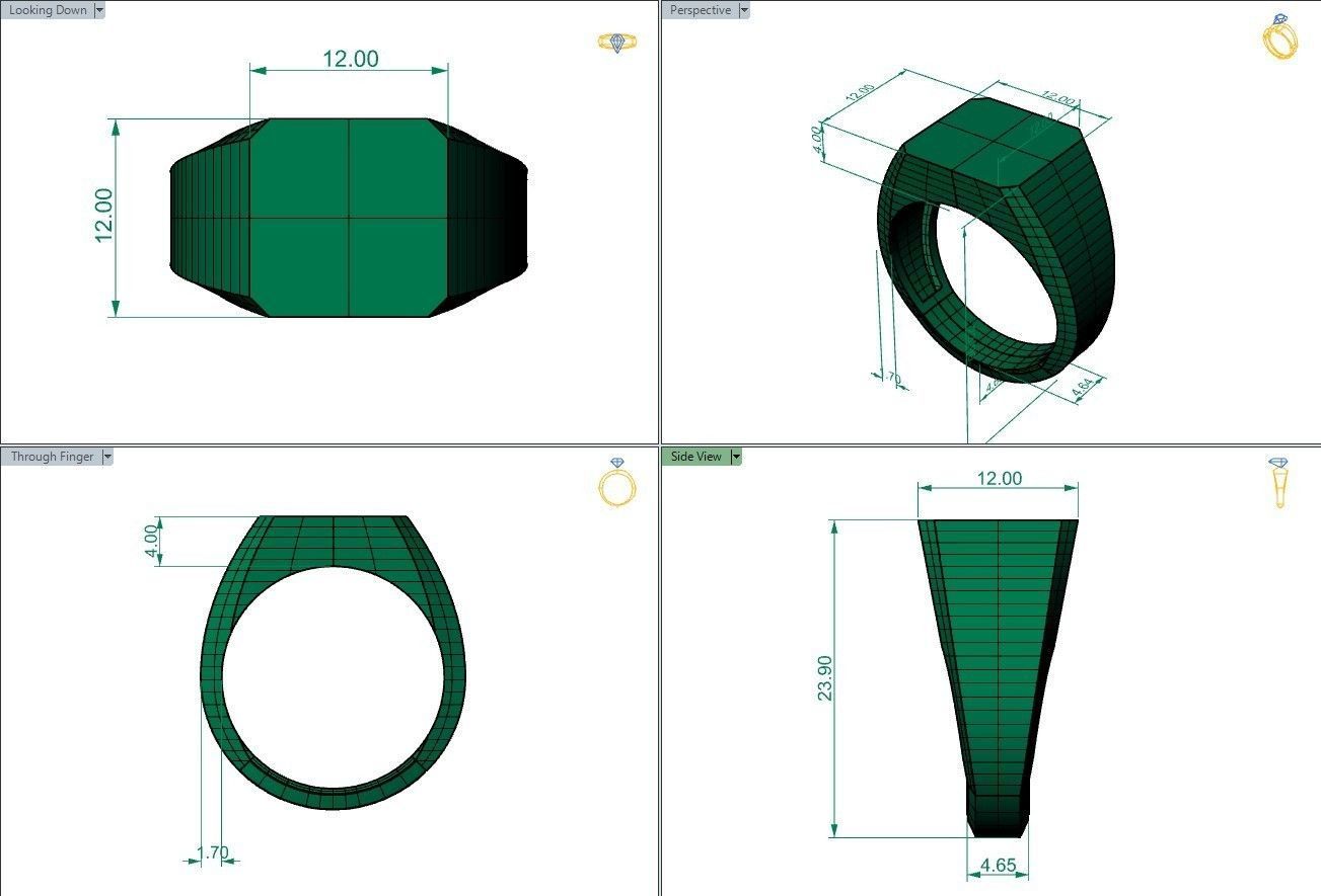 48 signet rings 3D print model_16