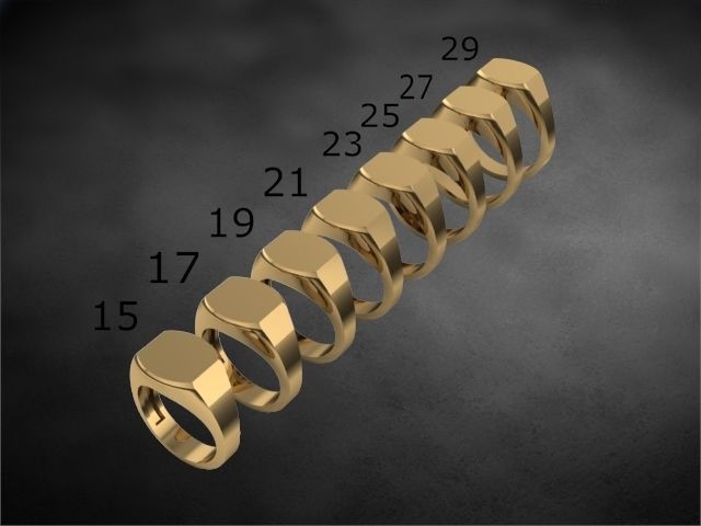 48 signet rings 3D print model_30