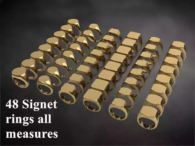 48 signet rings 3D print model