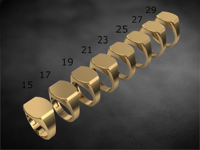 48 signet rings 3D print model_24
