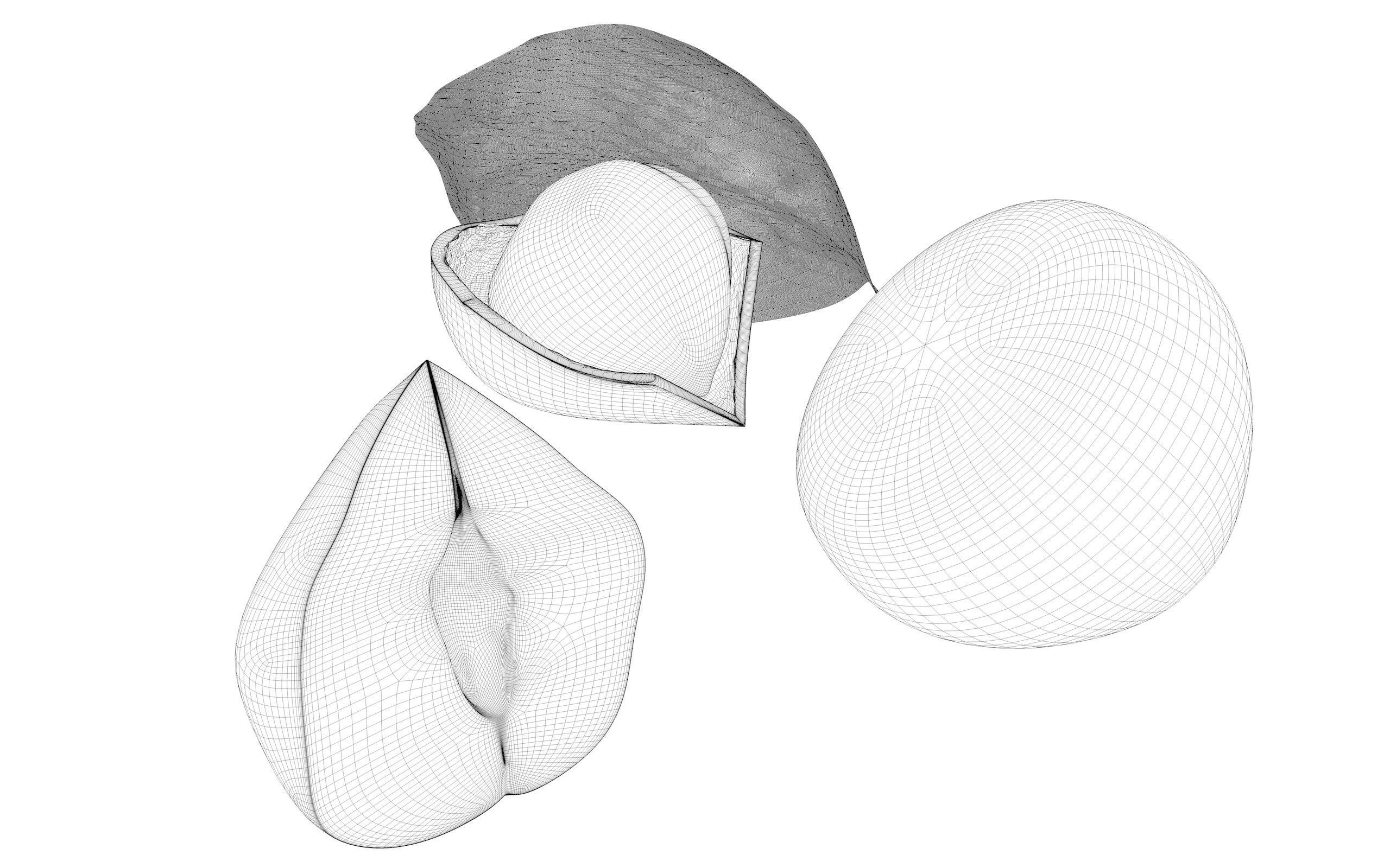 Hazelnut Nuts 3D model_20