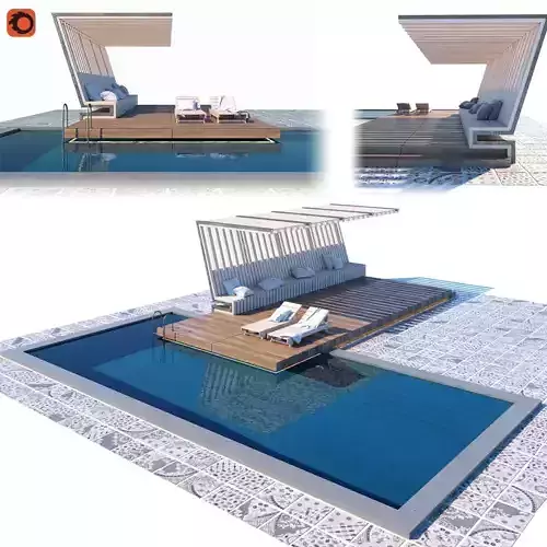 Pool with terrace and canopy 