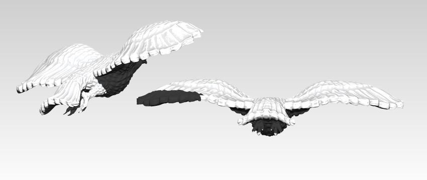 American Flying Bird Eagle Hawk Detailed 3D print model_2