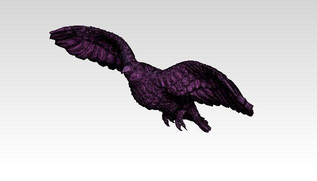 American Flying Bird Eagle Hawk Detailed 3D print model_3