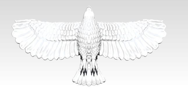 American Flying Bird Eagle Hawk Detailed 3D print model_4