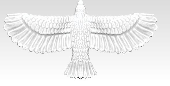 American Flying Bird Eagle Hawk Detailed 3D print model_5