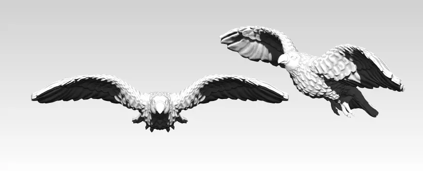 American Flying Bird Eagle Hawk Detailed 3D print model_0