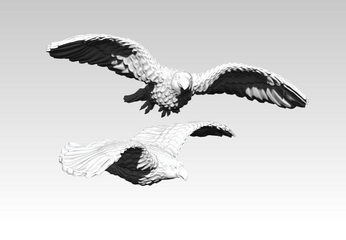American Flying Bird Eagle Hawk Detailed 3D print model_1