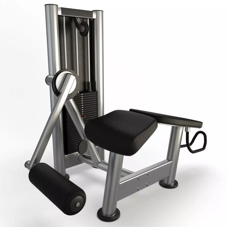 Gym Horizontal Legs Press  3D model_0