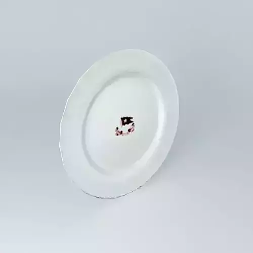 Dinner Plate