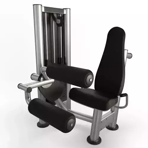 Gym Seated Legs Curl