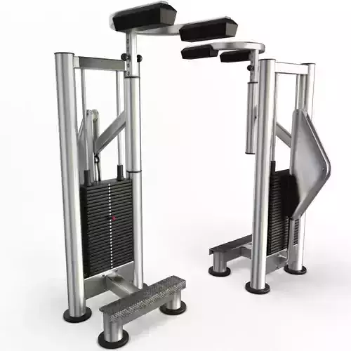 Gym Standing Calf Raise