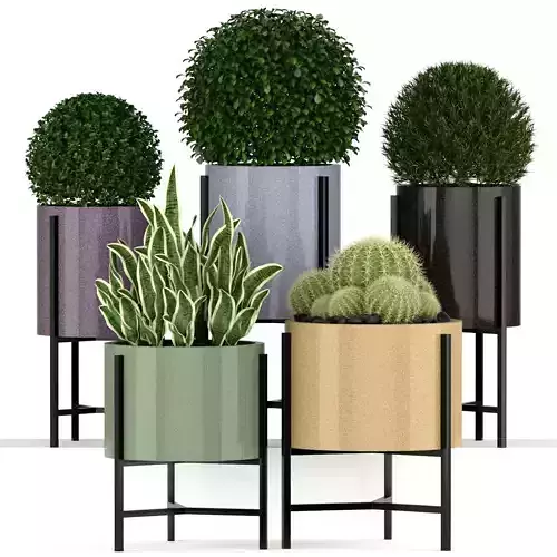 Plants collection 193