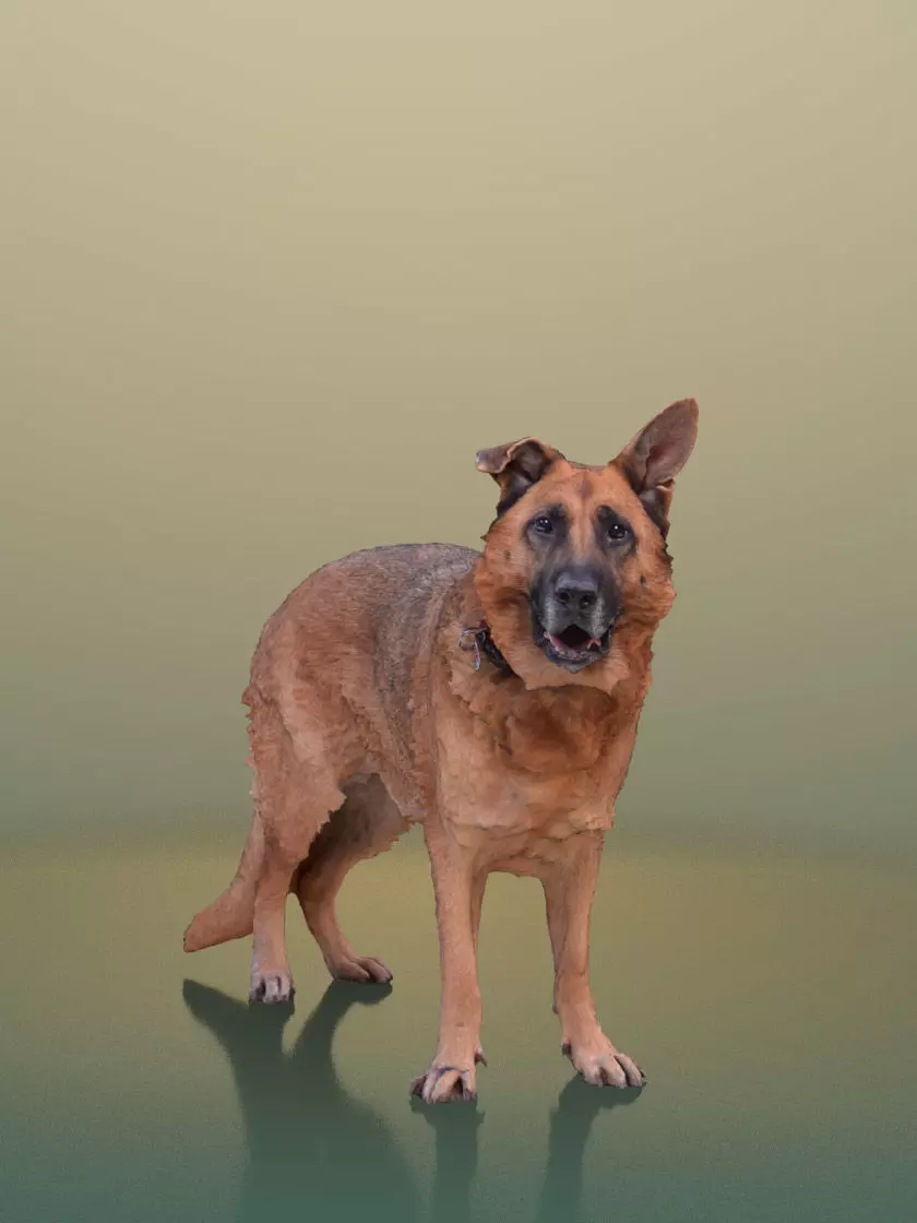 Pepper 10470 - Standing Dog Low-poly 3D model