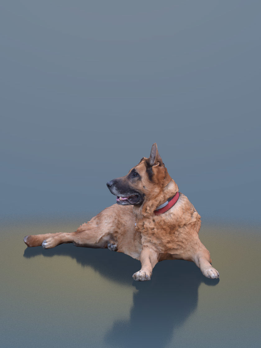 Pepper 10453 - Sitting Dog Shepherd Low-poly 3D model_1