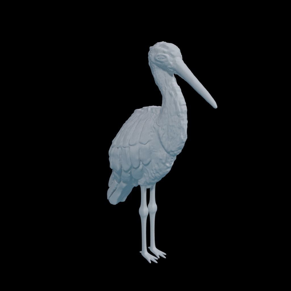Black Stork - Kara Leylek 3D Print Model 3D print model_4