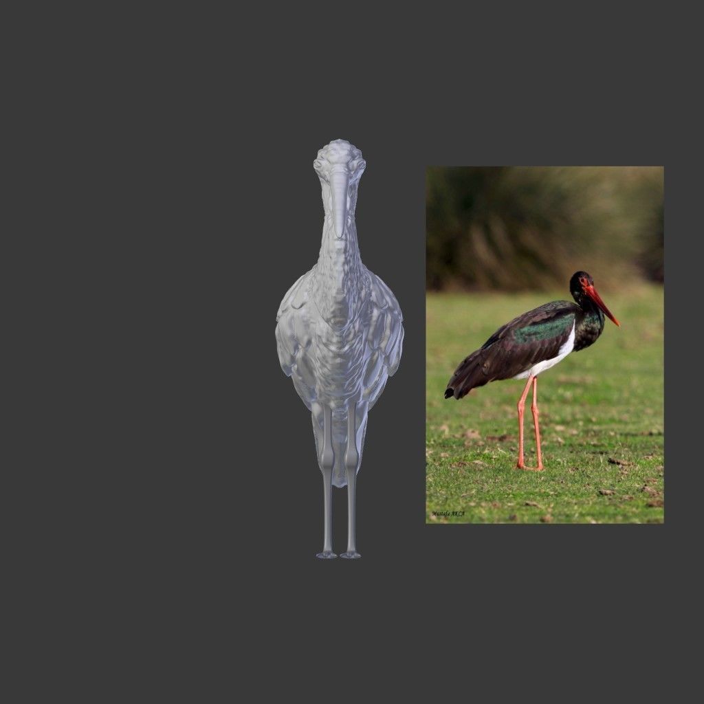 Black Stork - Kara Leylek 3D Print Model 3D print model_1