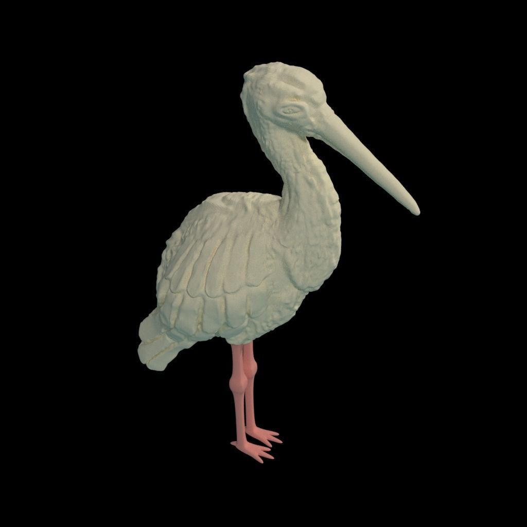 Black Stork - Kara Leylek 3D Print Model 3D print model_6