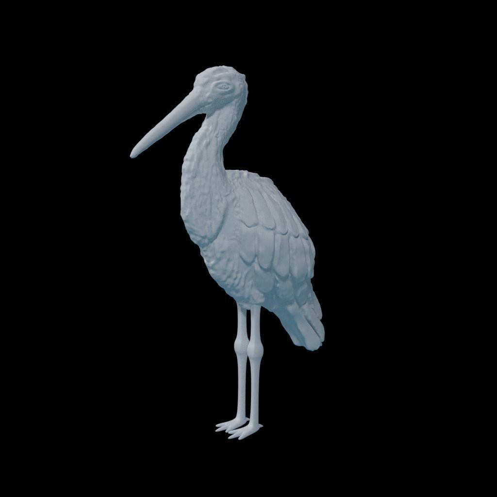 Black Stork - Kara Leylek 3D Print Model 3D print model_5