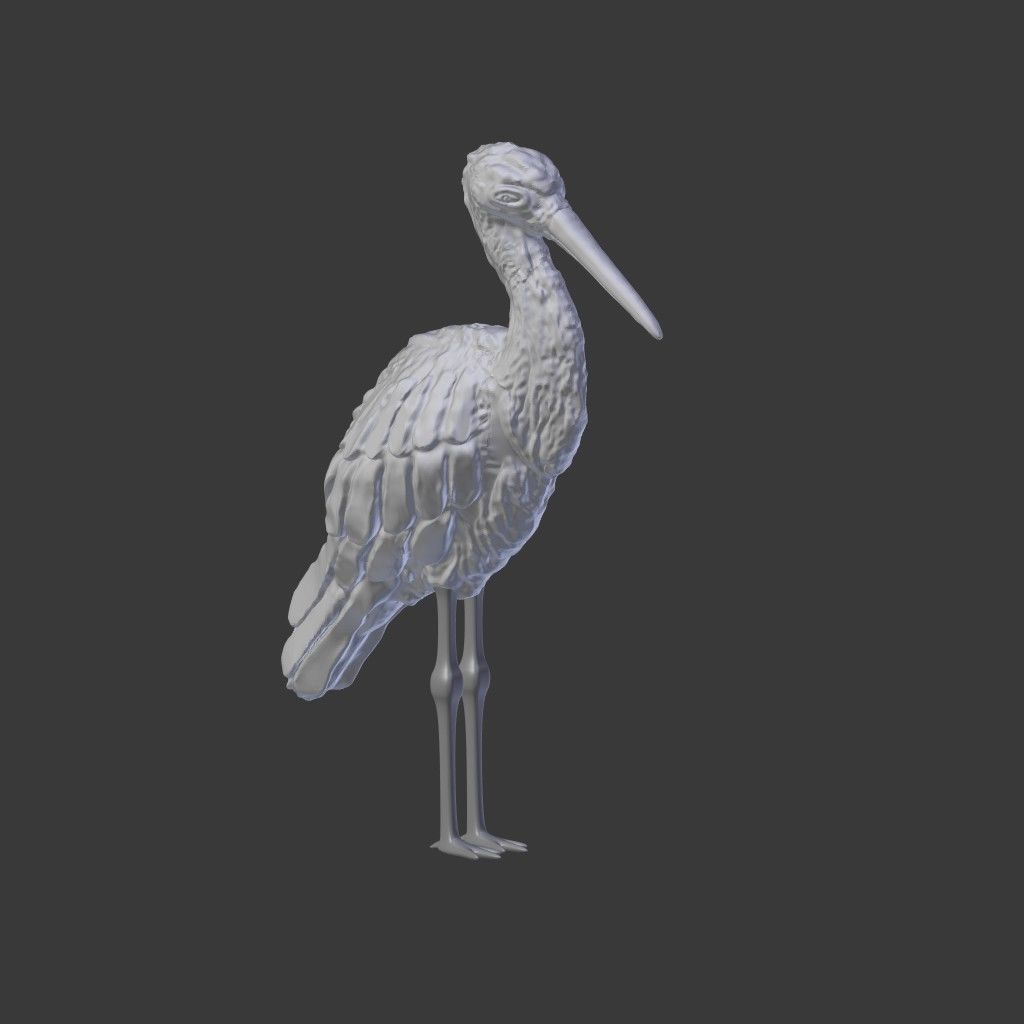 Black Stork - Kara Leylek 3D Print Model 3D print model_2