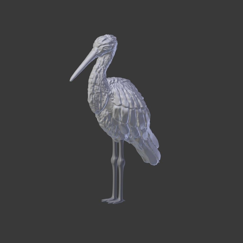 Black Stork - Kara Leylek 3D Print Model 3D print model_3