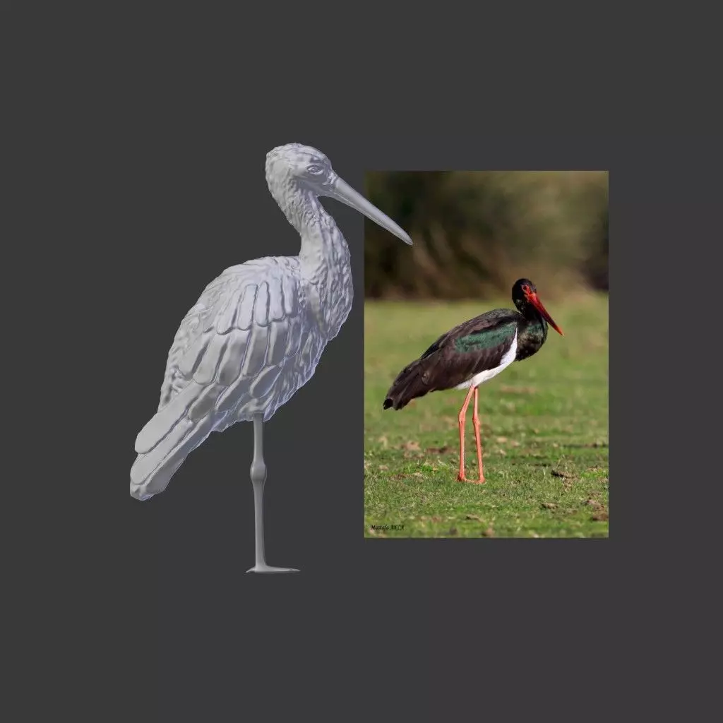 Black Stork - Kara Leylek 3D Print Model 3D print model_0