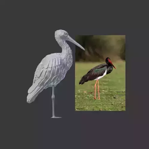 Black Stork - Kara Leylek 3D Print Model 3D print model