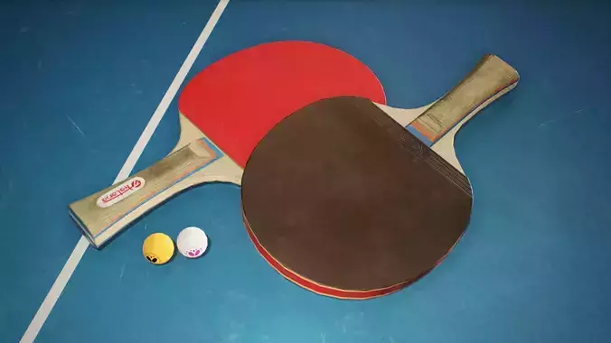 Ping Pong Paddle and Ball
