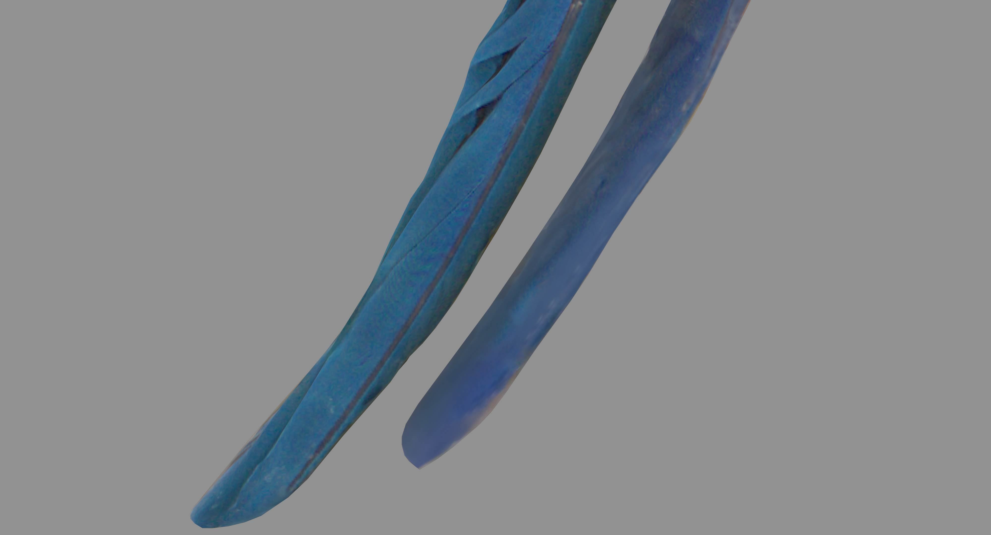 Ara Macaw Low-poly 3D model_34